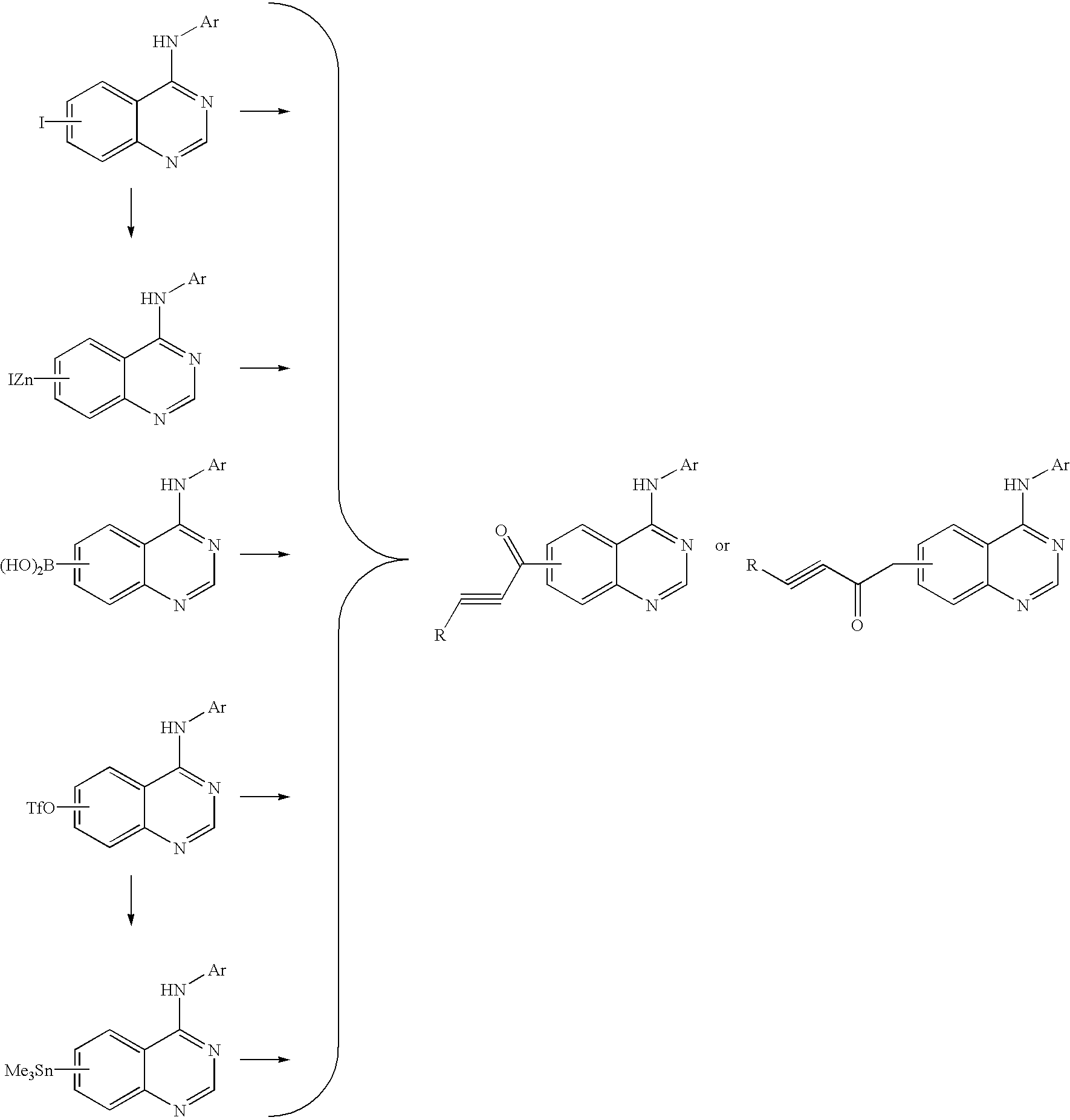 Figure US20030229051A1-20031211-C00059