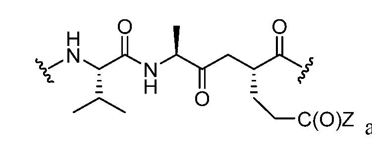 Figure imgf000046_0003