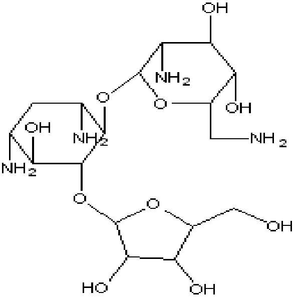 Figure 112005062162017-PAT00013