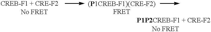 Figure US06808874-20041026-C00005