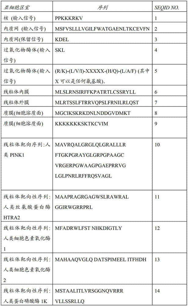 Figure BDA00003076741200391