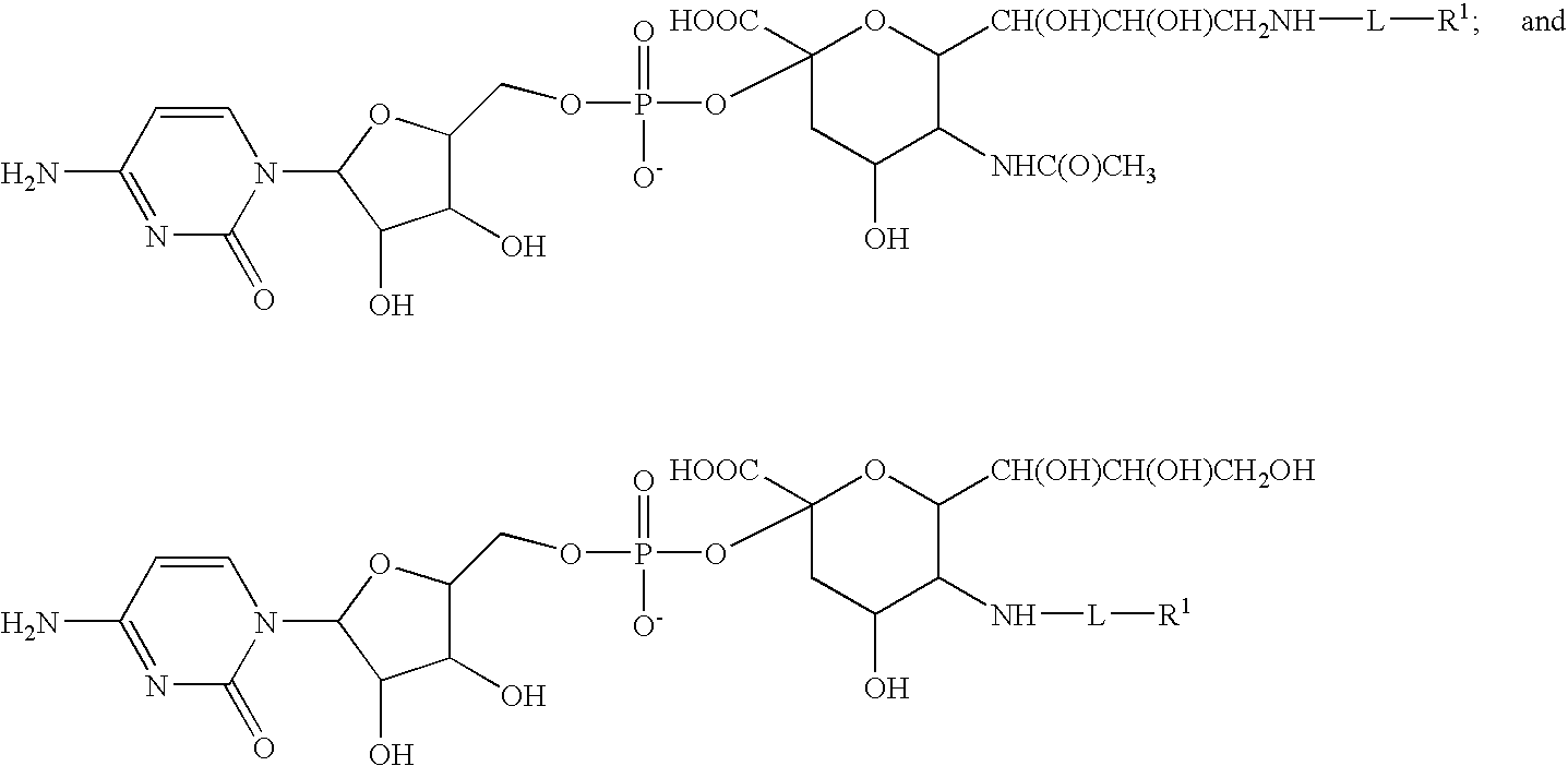Figure US20100330645A1-20101230-C00137