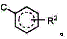 Figure FDA0003101608290000033