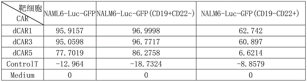 Figure BDA0003394632760000131