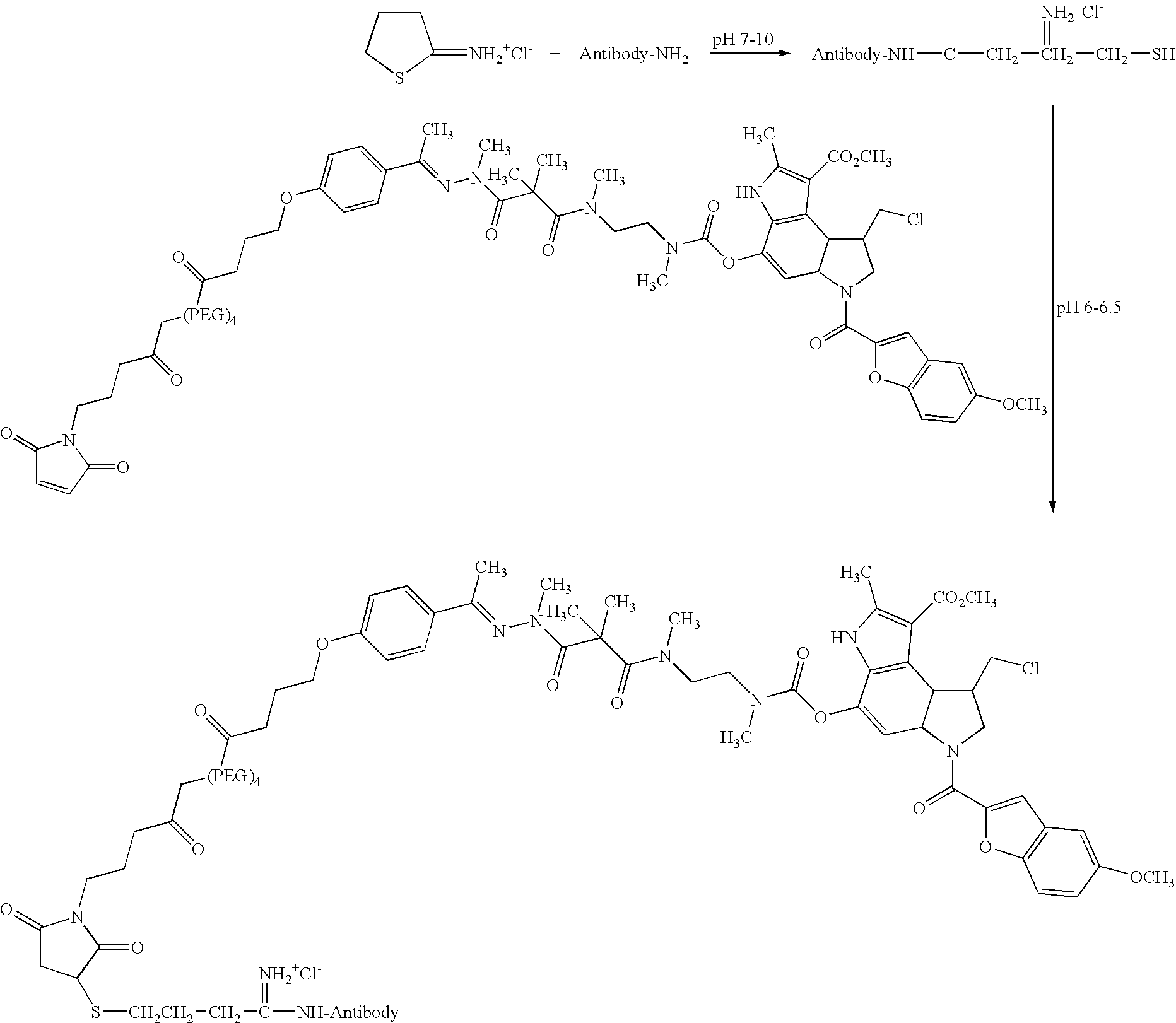 Figure US20080279868A1-20081113-C00119