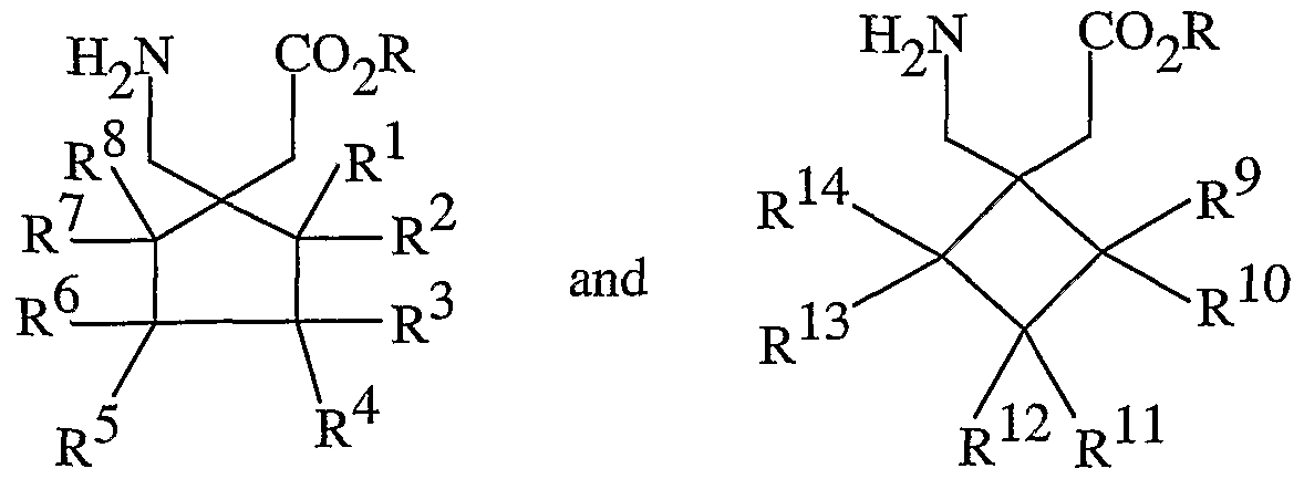 Figure imgf000004_0001