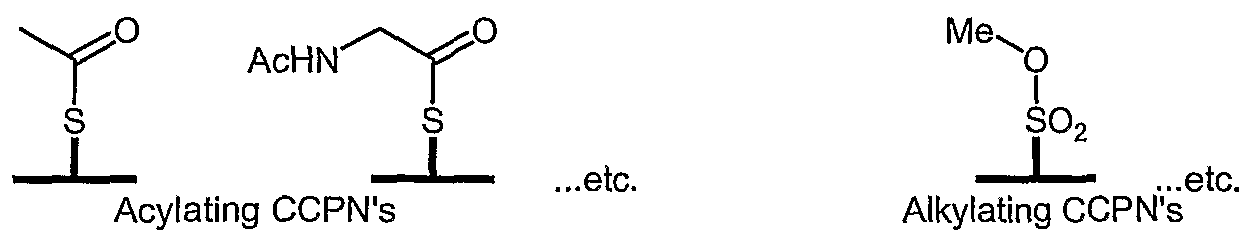 Figure imgf000045_0002