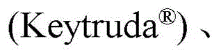 Figure BDA0003135424430002245