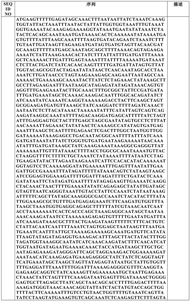 Figure BDA0002550795540001361