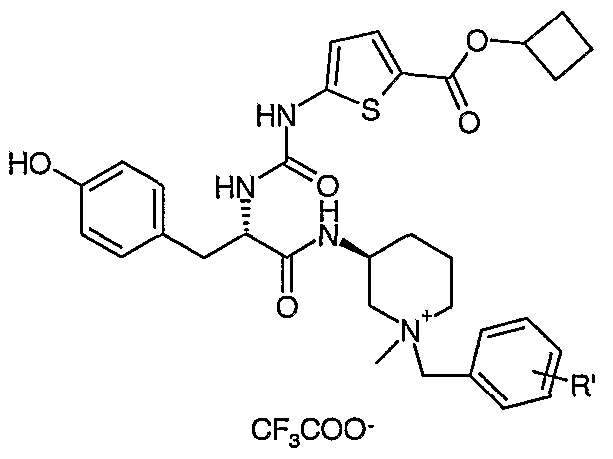 Figure imgf000061_0002
