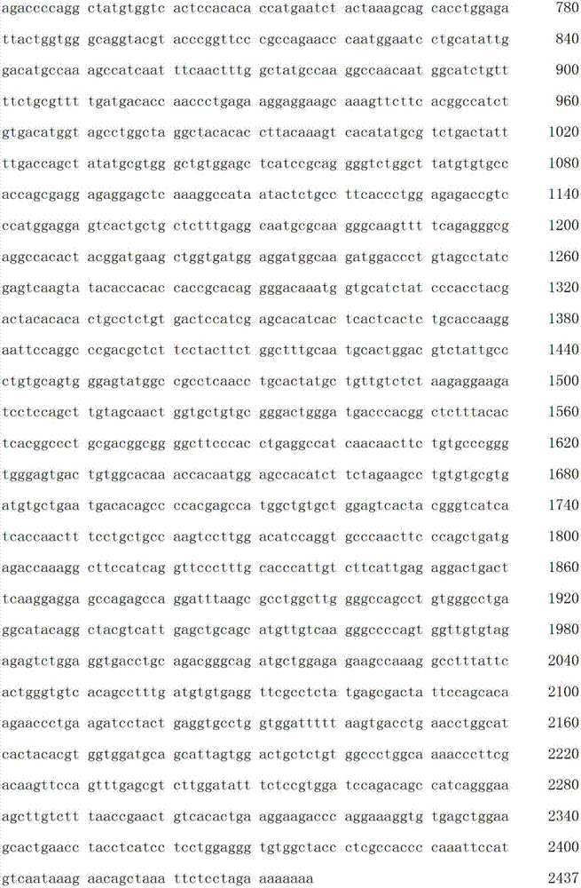 Figure IDA00001912639500621