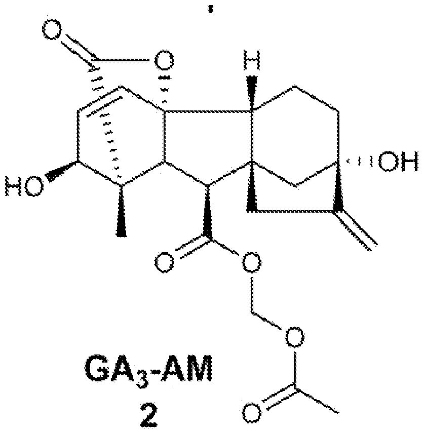 Figure imgf000177_0002