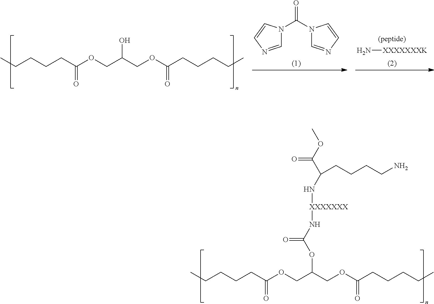 Figure US20110202016A1-20110818-C00010