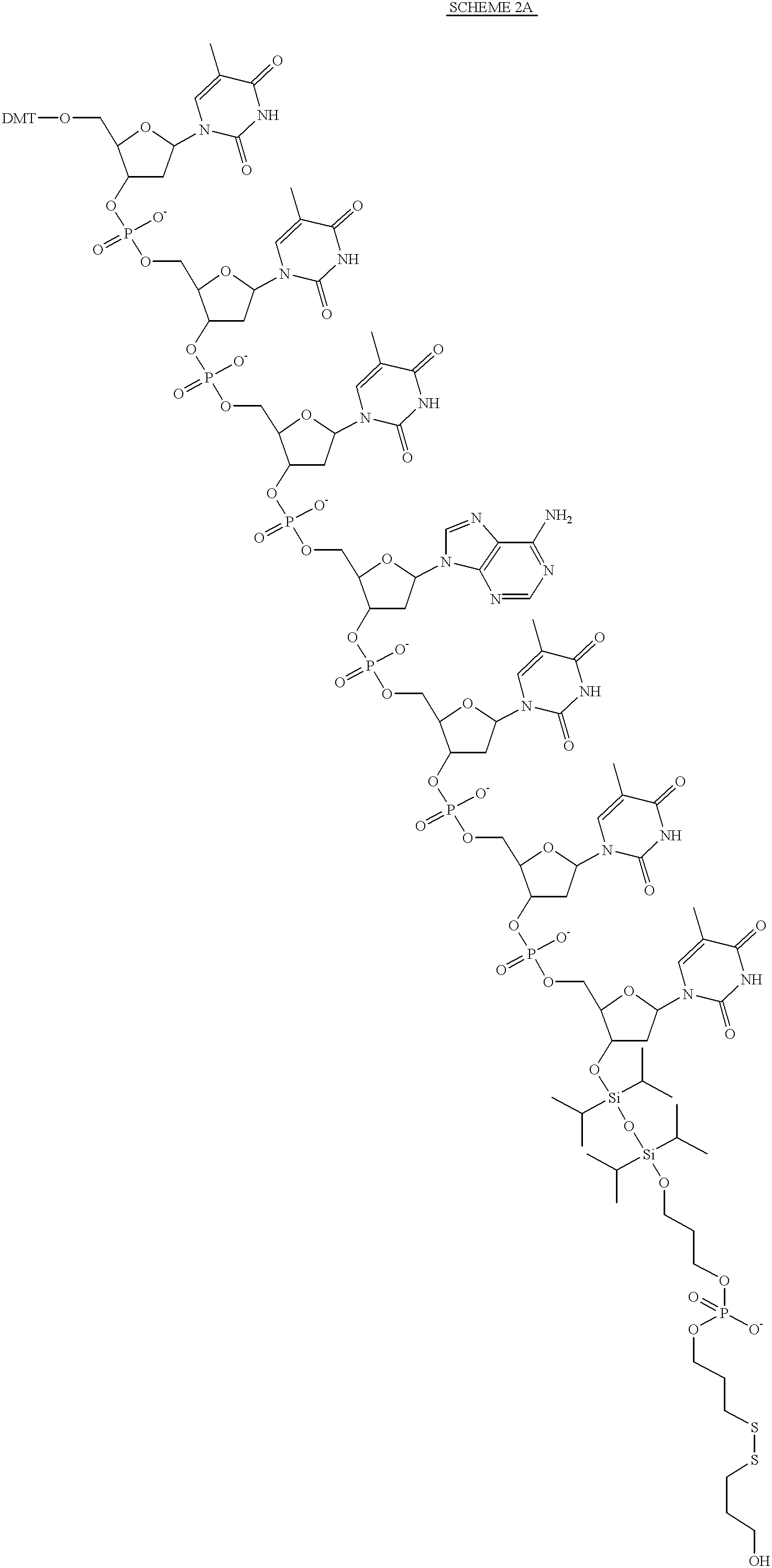 Figure US06472522-20021029-C00011