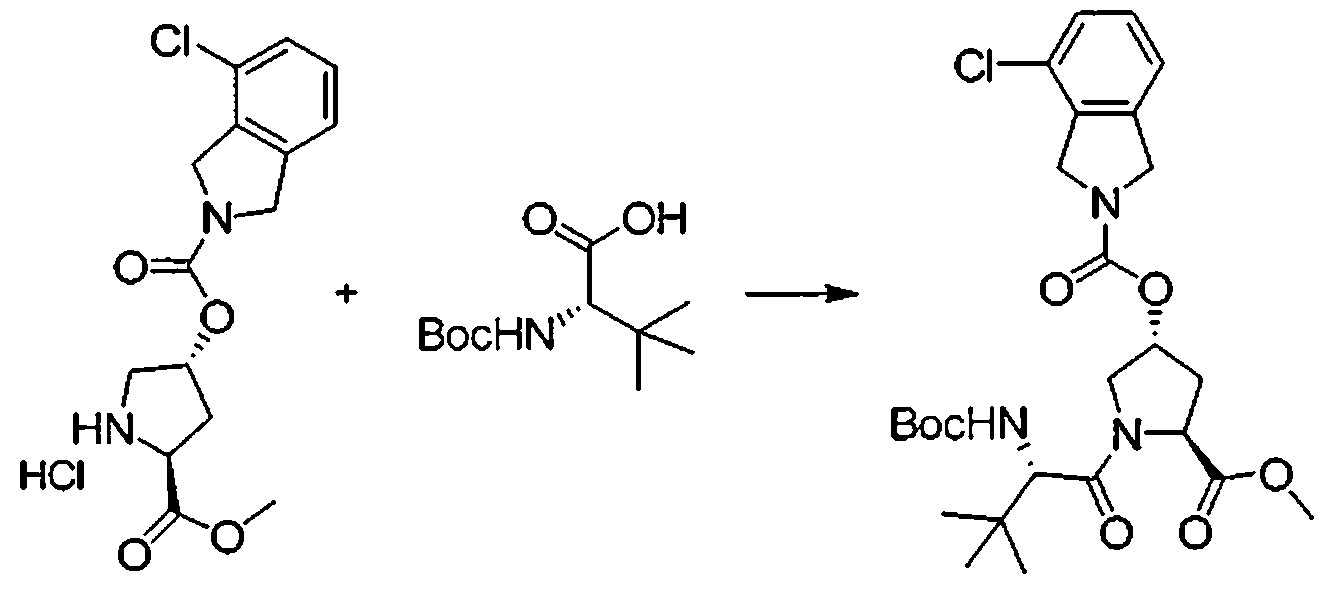 Figure 112009076339753-PCT00103