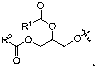 Figure PCTCN2022071492-appb-000028