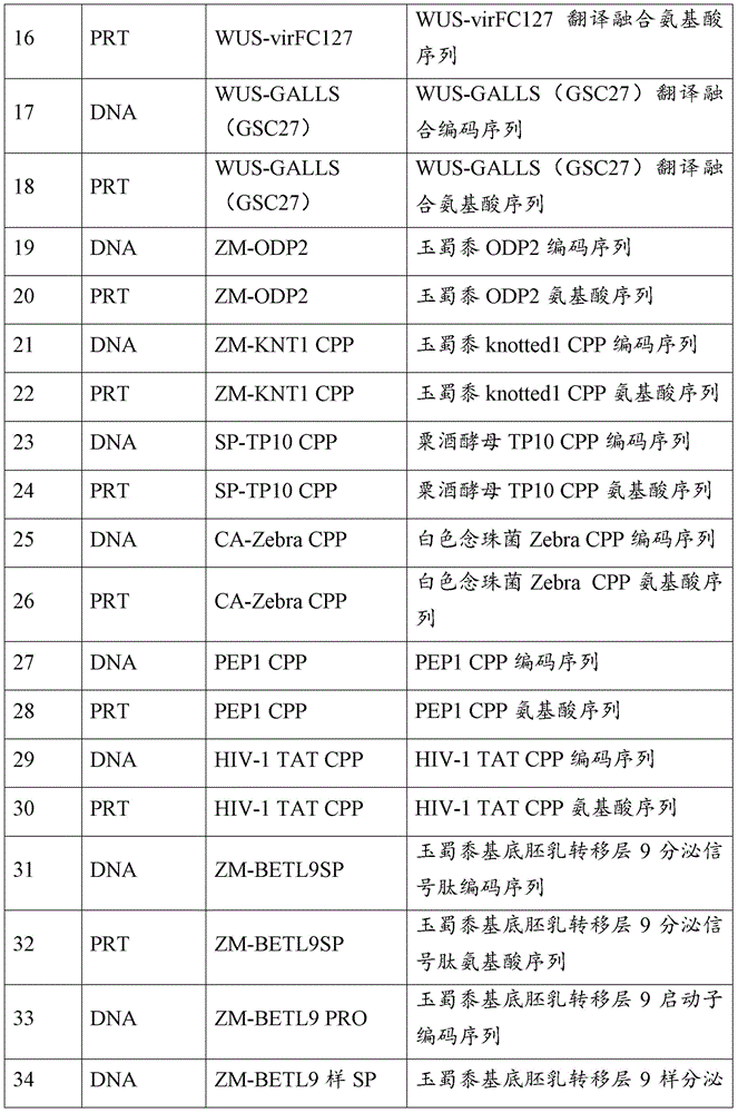 Figure BDA0002532806160000421