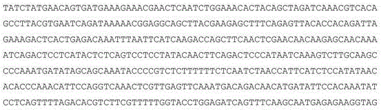 Figure 6829DEST_PATH_IMAGE016