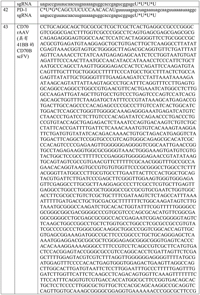 Figure BDA0002772276950001381