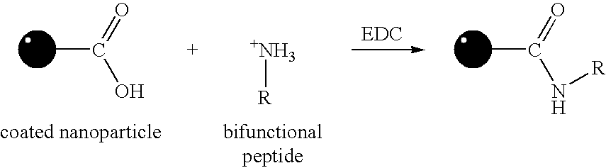 Figure US20040058457A1-20040325-C00001