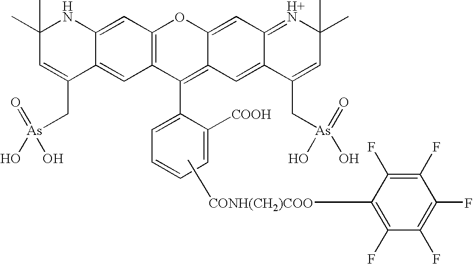 Figure US20060229441A1-20061012-C00028