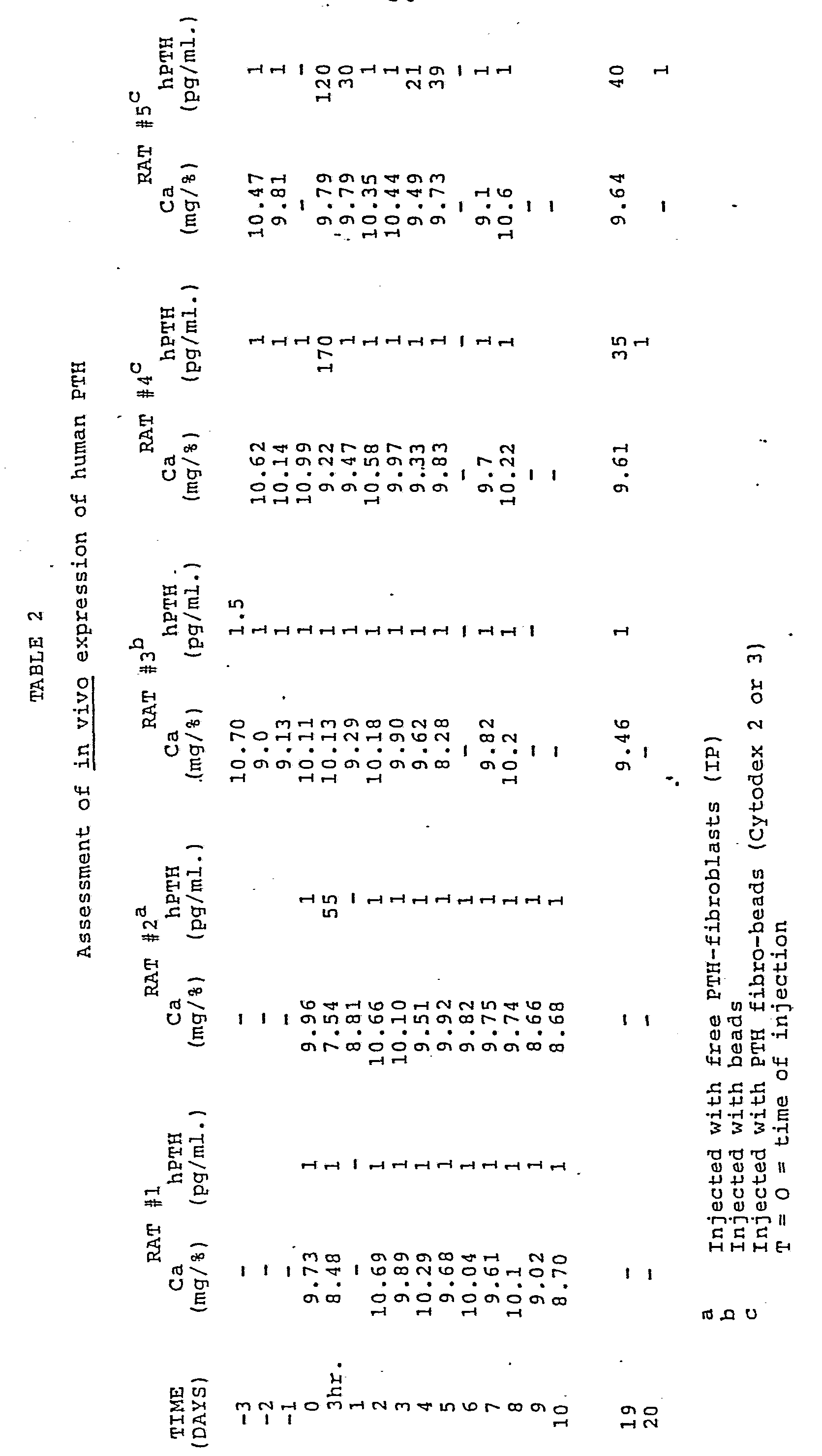 Figure imgf000032_0001