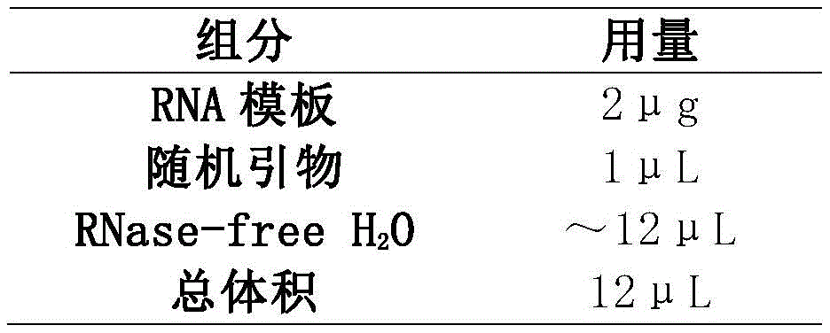 Figure BDA0002837879560000151