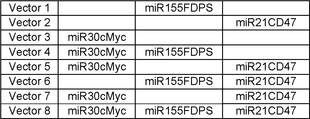 Figure imgf000010_0001