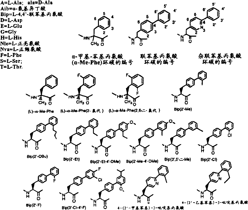 Figure B2005800295435D00951