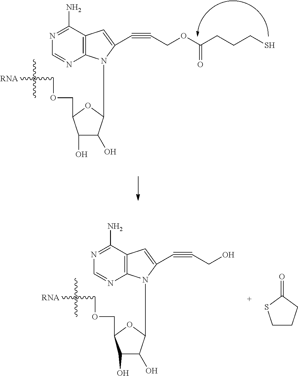 Figure US20160354491A1-20161208-C00137
