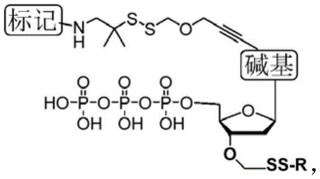 Figure FDA0003538717910000071