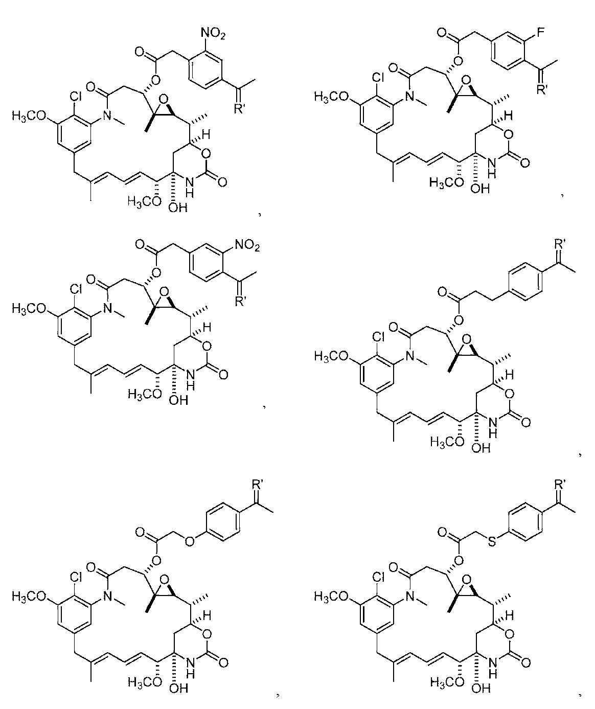 Figure 0007442821000023