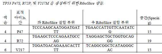 Figure 112020056955871-pat00026