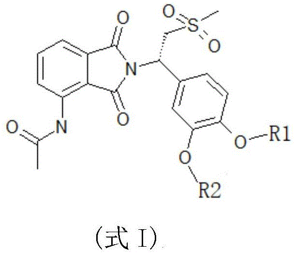 Figure BDA0002175535430000012