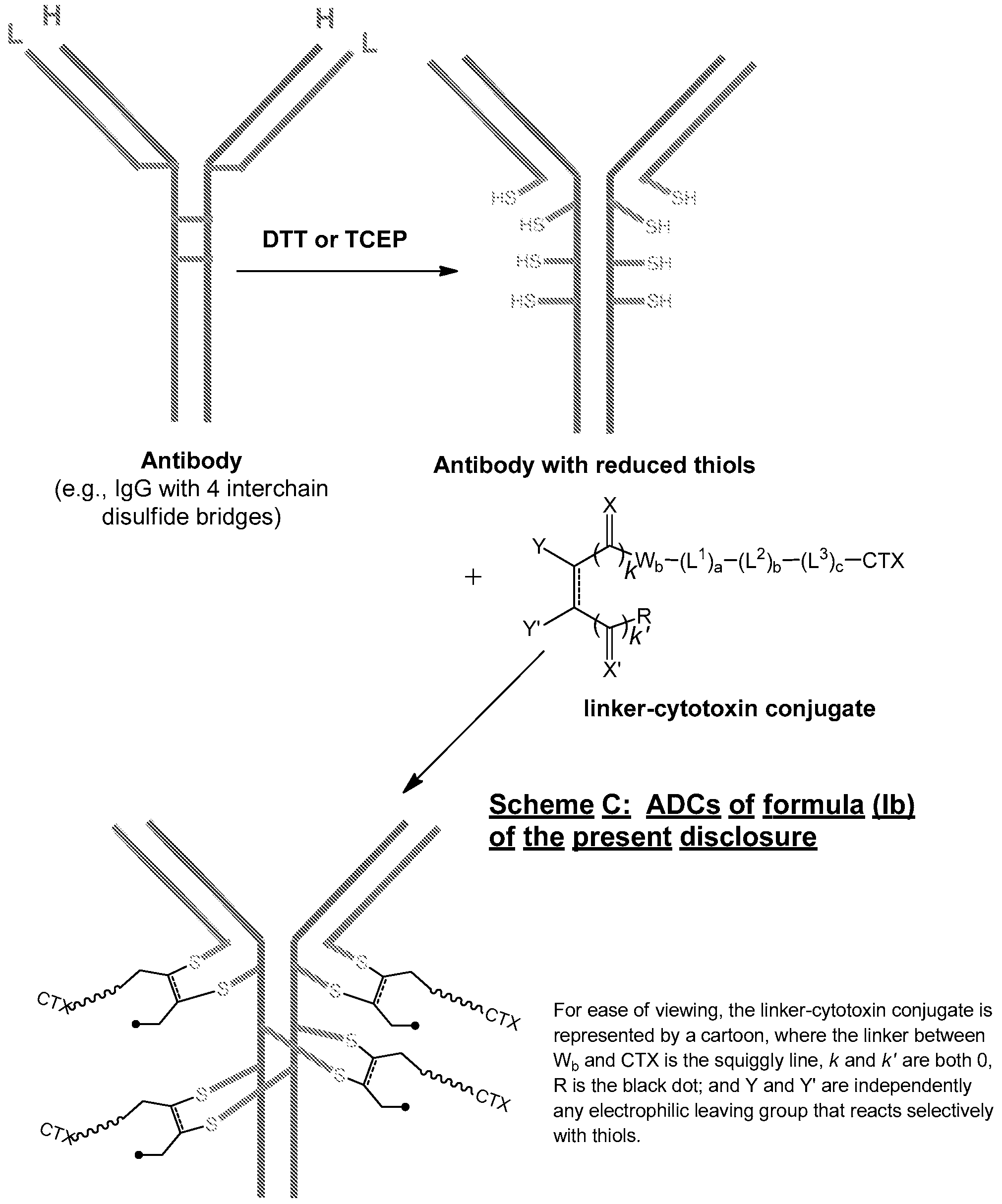 Figure imgf000240_0001
