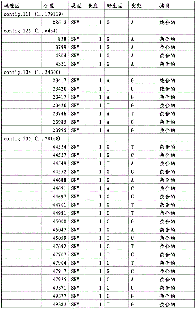 Figure BDA0001338279350000071