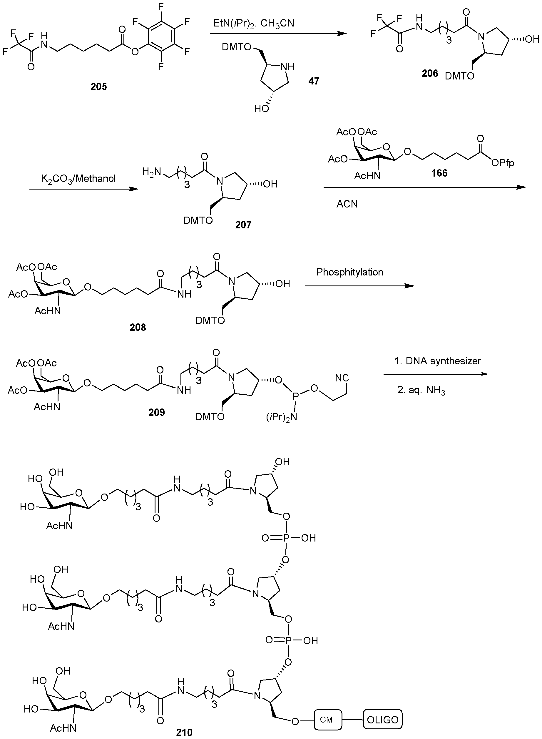 Figure imgf000262_0001