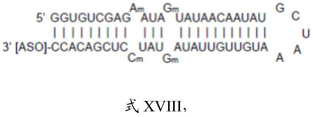 Figure BDA0003264319780000222