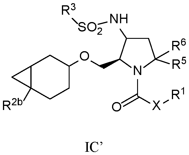 Figure imgf000010_0002