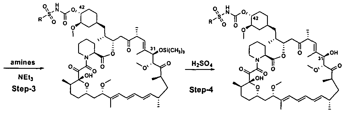 Figure imgf000031_0002