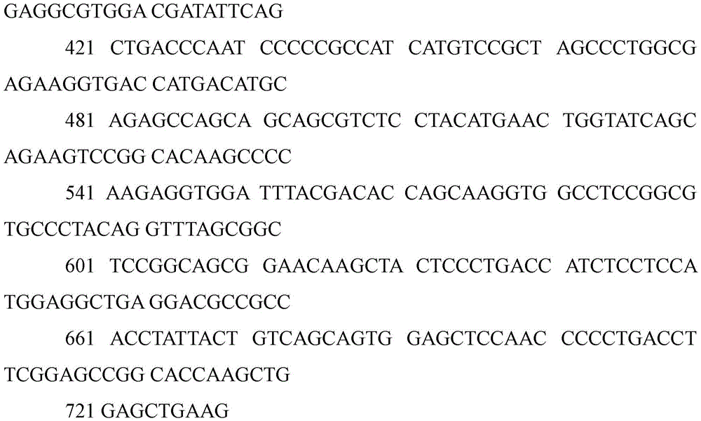 Figure BDA0001259155300000411