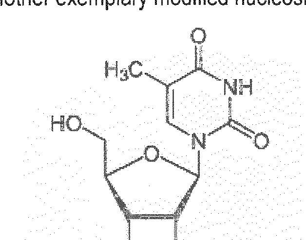 Figure imgf000029_0004
