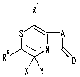 Figure imgf000321_0001