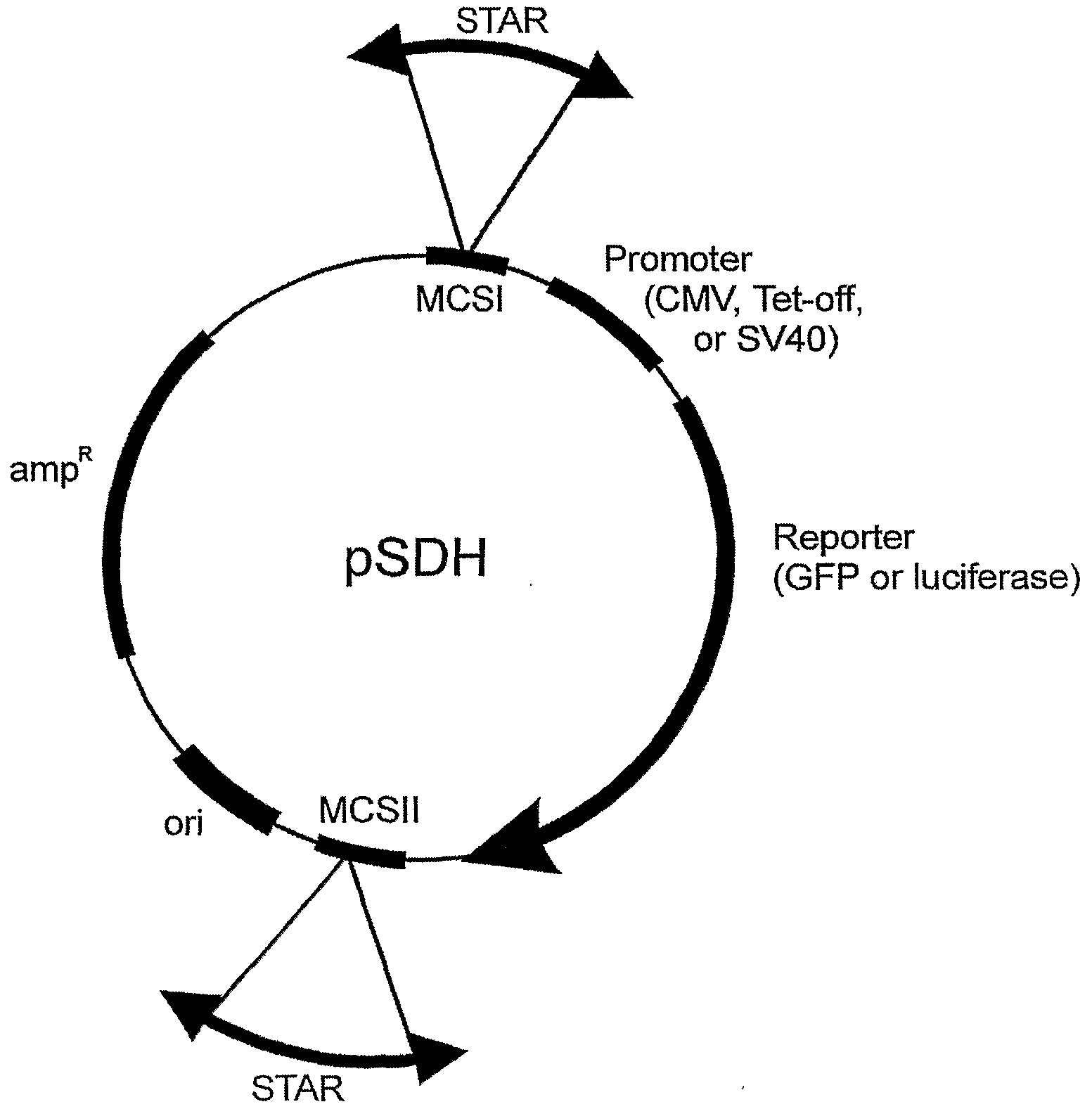 Figure imgf000155_0001