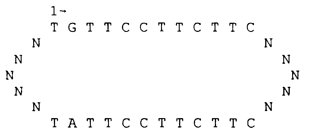 Figure imgf000067_0002