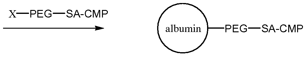 Figure imgf000148_0001