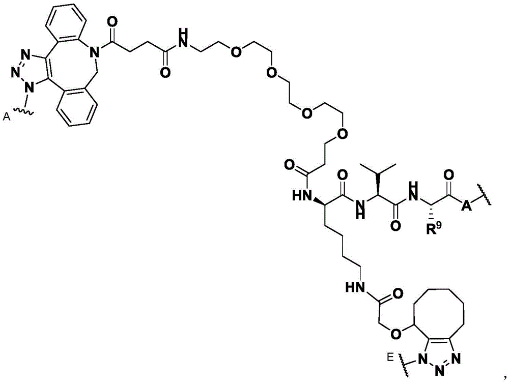Figure BDA0003169092350000513