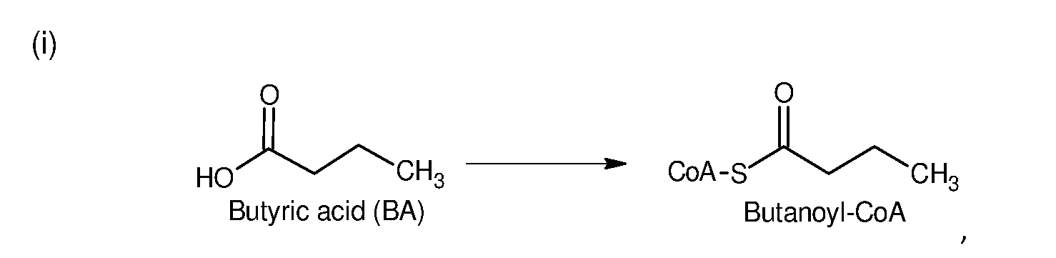 Figure imgf000037_0001