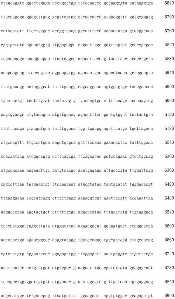 Figure IDA0002872168960002091