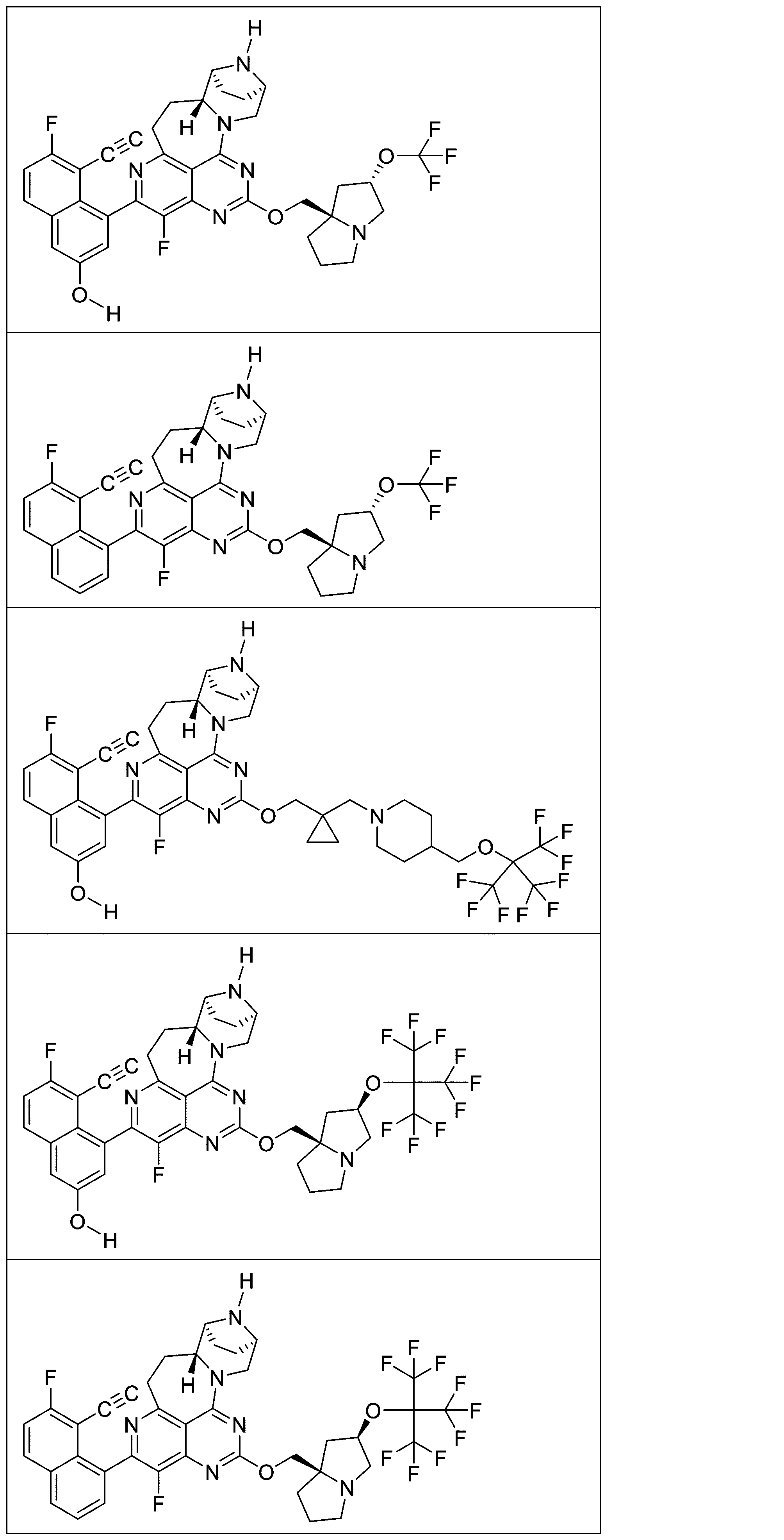 Figure 2025513258000978